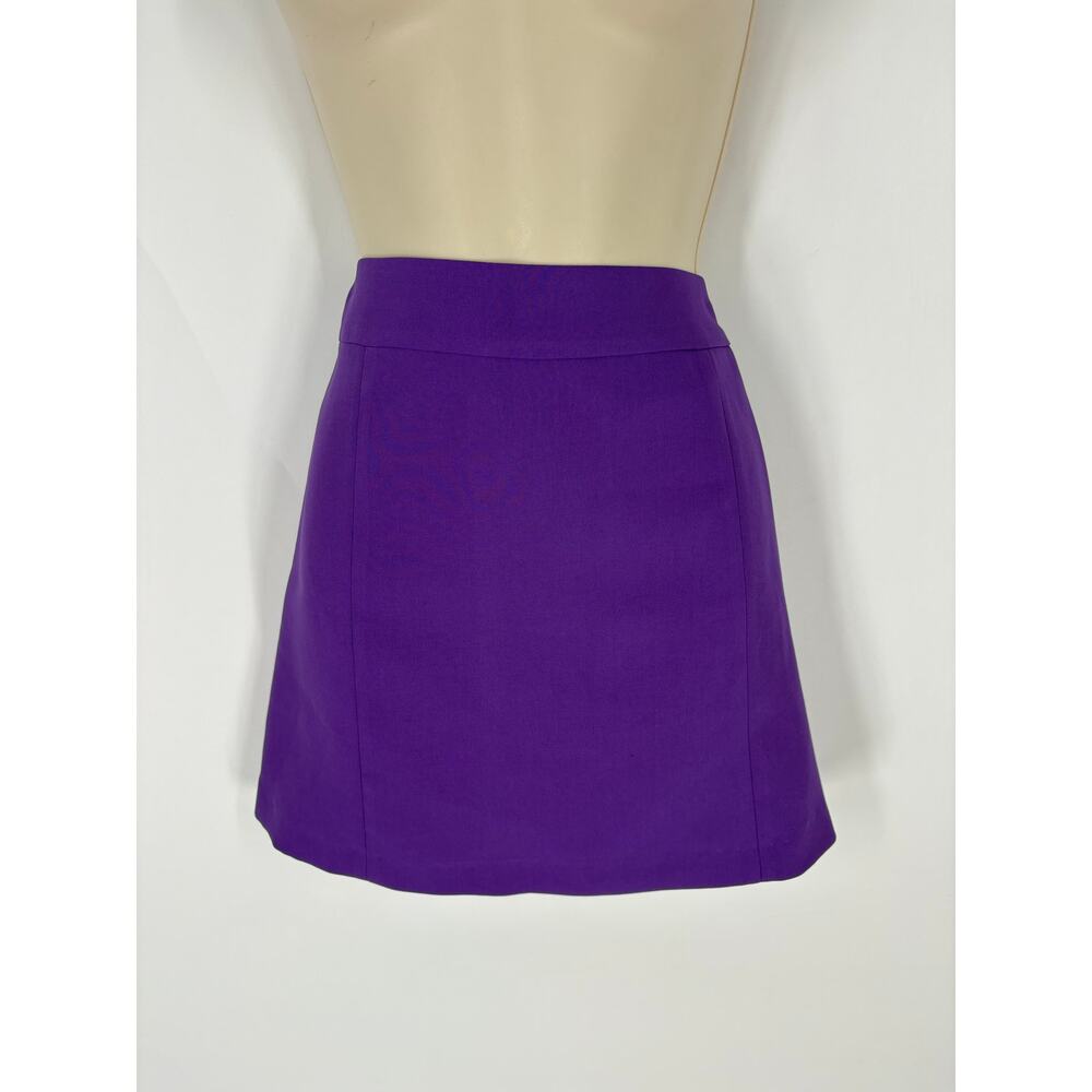 Nasty Gal Purple Mini Skirt (B10)